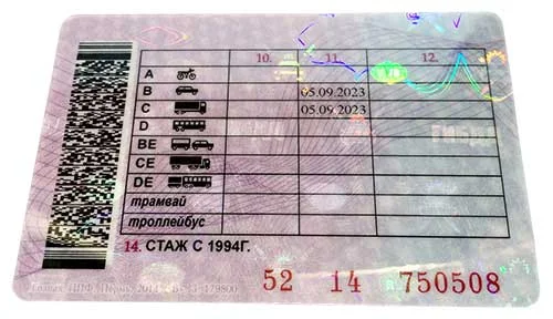 Права категории D на автобусы в 2026 году: обучение и экзамен